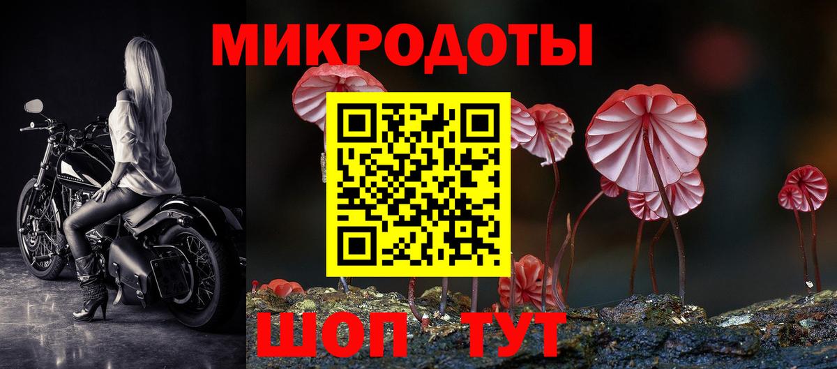 Псилоцибиновые грибы ЛСД  Вход с VPN  Псилоцибиновые грибы ЛСД  Заволжье 